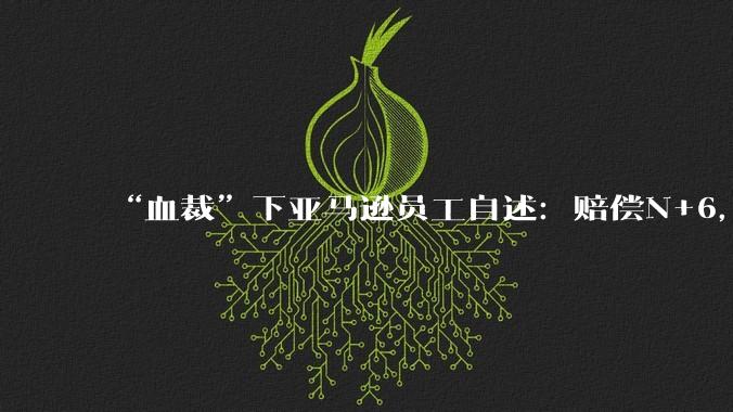 “血裁”下亚马逊员工自述：赔偿N+6，有60天冷静期，以后很难找到这么好的公司了_都有_工作_科技